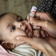 Polio has been almost eradicated in most of the world