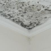Monitoring moisture levels in a home is an important step in preventing mould