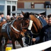 IN PICTURES: Coral Scottish Grand National Festival brings big crowds to Ayr