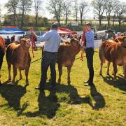 Beith Show 2024