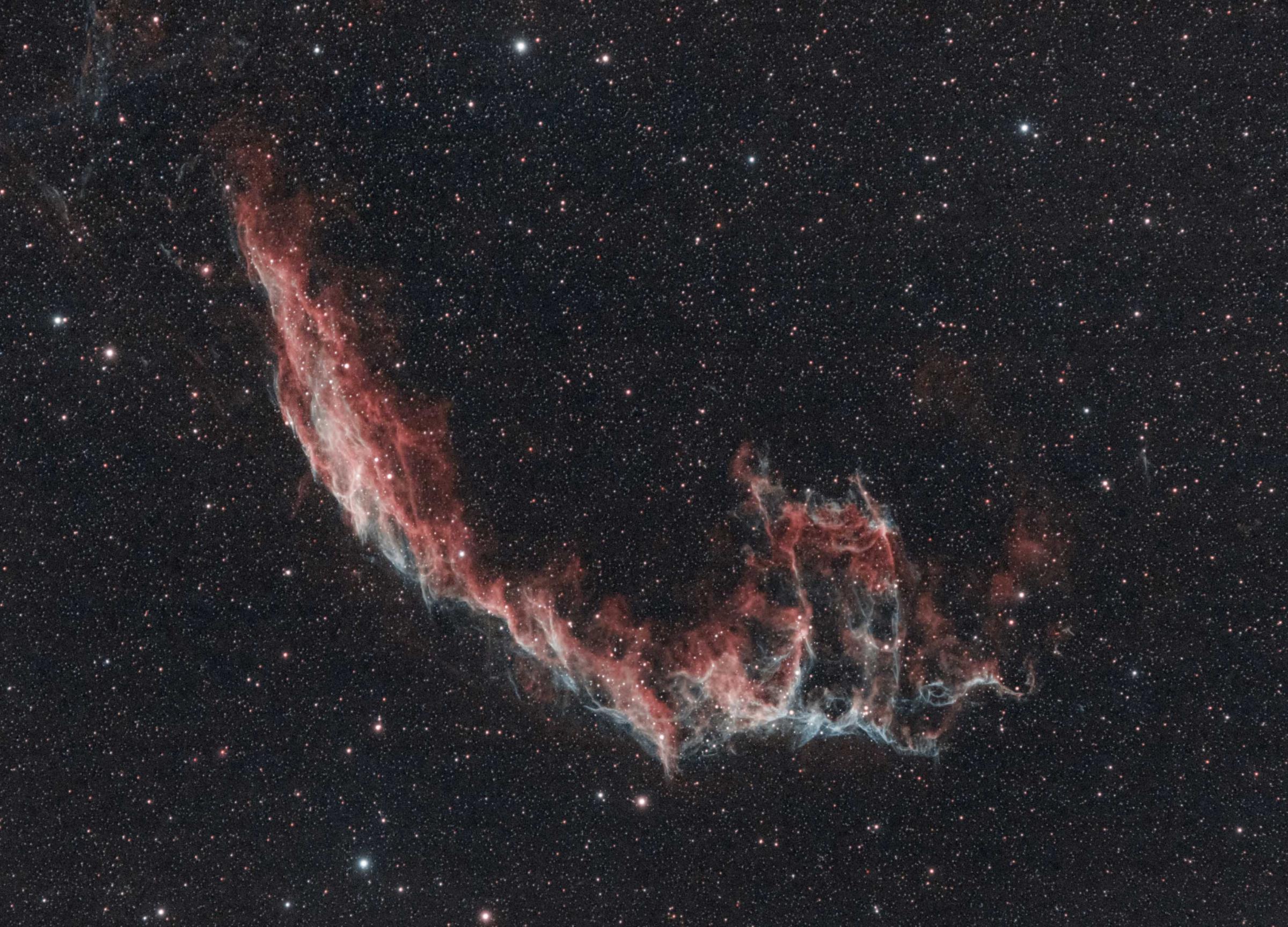 The Veil Nebula, a huge, feathery cloud of heated gas and dust in the constellation Cygnus - pictured by 16-year-old Scottish astro-photographer Helena Cochrane 