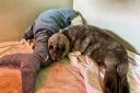 Can you help orphan seals like Nacho