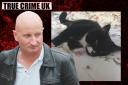 The Victims of 'The Brighton Cat Killer'