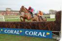 Ardera Cross is a multiple winner at Ayr and returns to the course on February 13