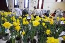 West Kilbride will be back in bloom for the annual Spring Show