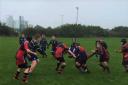 RUGBY ACTION: The young Ardrossan teams are pictured in action on Sunday.