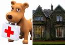 The canine first aid course will take place at Geilsland in June