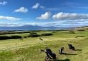 West Kilbride Golf Club is hosting the Scottish PGA Championship for the first time since 1960 (Photo - Murray Grayston)