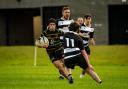 Garnock ran in 15 tries as they dominated Perthshire at Lochsore.