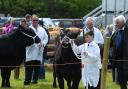 The Dalry Show returns on June 8.