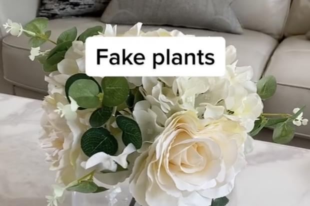 TikTok interior design account 'interiorbykrish' says fake plants make houses look cheap, as does crushed velvet furniture, exposed wires and radiators and children's artwork