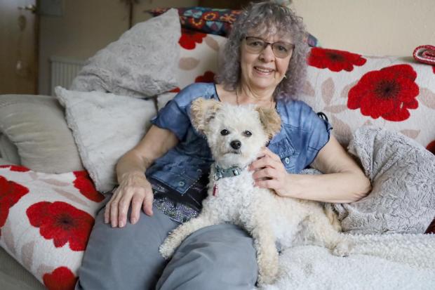 Number of dogs given to fostering charity soars by 240% as owners flee domestic abuse