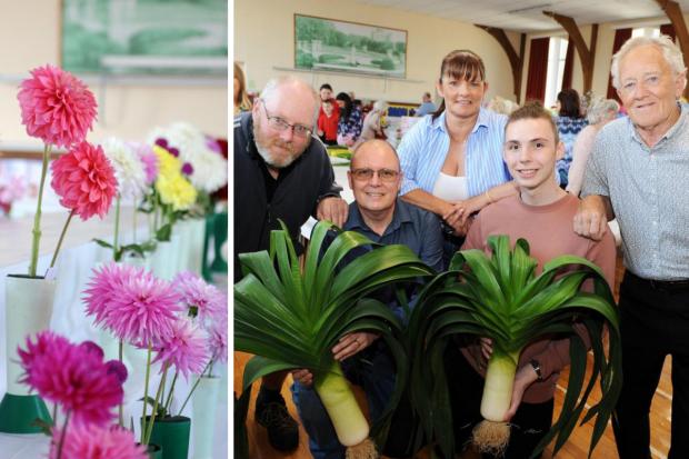 Kilwinning Horticultural Society's flower show returned last week