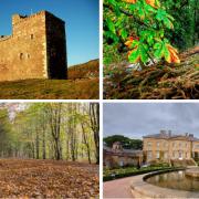 10 places to go an autumn walk in Ayrshire this weekend as voted by YOU