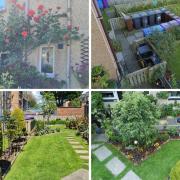 John Clark has been maintaining the garden in Kilmahew Street for around five years