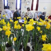 The society's spring show also returned in March