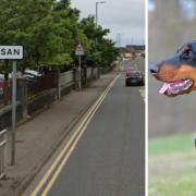 The Doberman named Kai attacked an 11-year-old girl on Parkhouse Road in Ardrossan earlier this year