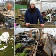 Marie Doran (top right), development worker at the allotments, and the damage caused at the Elm Park site in Ardrossan