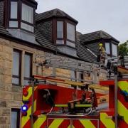 Fire crews had to come to the cat's aid