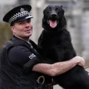 PC Paul O'Donnell with Remo