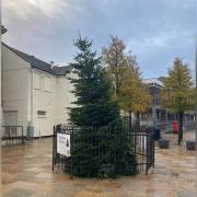 Locals are being asked to help name Kilwinning's wonky Christmas tree.
