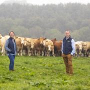 Niall Browne and Gill Higgins of Dawn Meats