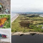 The Ardeer Peninsula is a wildlife haven