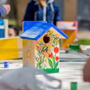 You can build a birdbox in Saltcoats this weekend