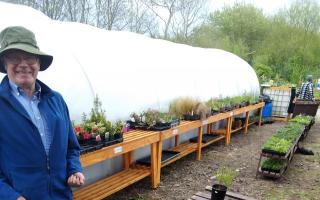 Ian Howie at the community polytunnel