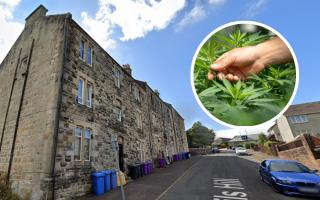 Dritan Nikolli was jailed after being caught at a cannabis cultivation at flats in Avils Hill, Kilbirnie